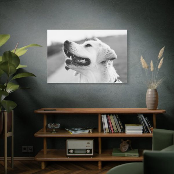 91638-504.jpg Labrador Retriever Dog in Black and White Standard Canvas