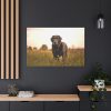 91638-508.jpg Black Labrador Retriever in Grass Field Standard Canvas