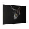 91638-515.jpg Black Bombay Cat in the Dark Standard Canvas