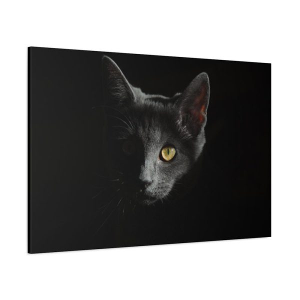 91638-515.jpg Black Bombay Cat in the Dark Standard Canvas