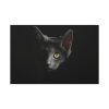 91638-516.jpg Black Bombay Cat in the Dark Standard Canvas