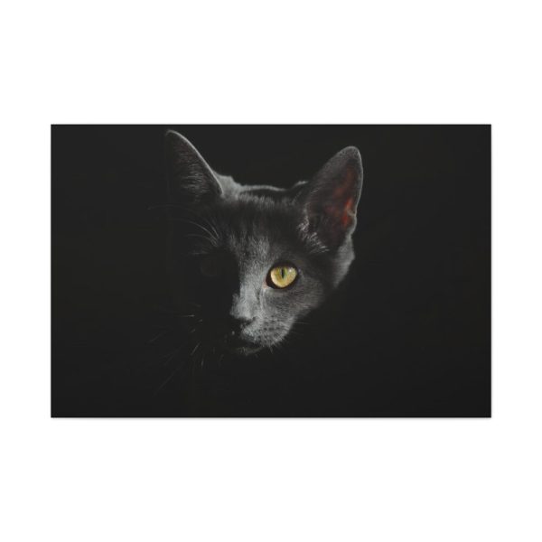 91638-516.jpg Black Bombay Cat in the Dark Standard Canvas
