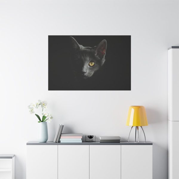 91638-517.jpg Black Bombay Cat in the Dark Standard Canvas