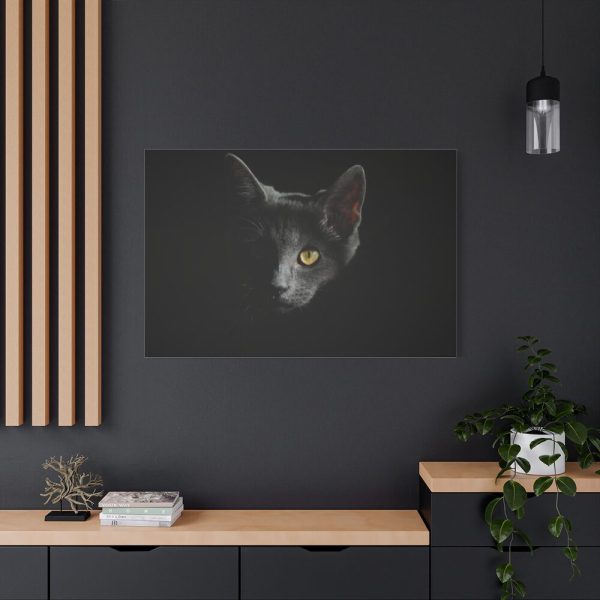 91638-518.jpg Black Bombay Cat in the Dark Standard Canvas