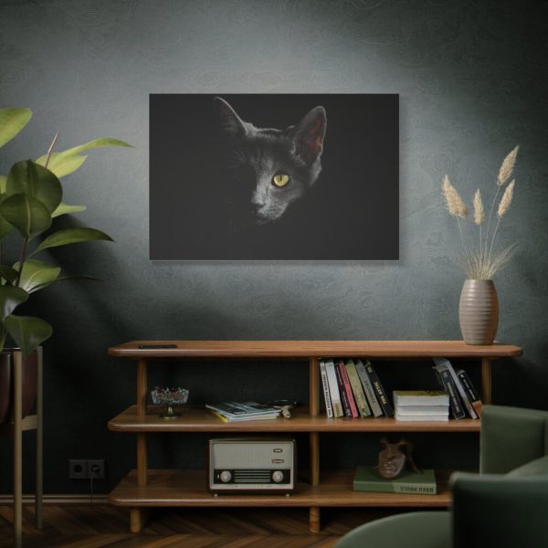 91638-519.jpg Black Bombay Cat in the Dark Standard Canvas