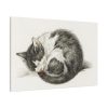 91638-520.jpg Rolled up Lying Sleeping Cat by Jean Bernard Standard Canvas