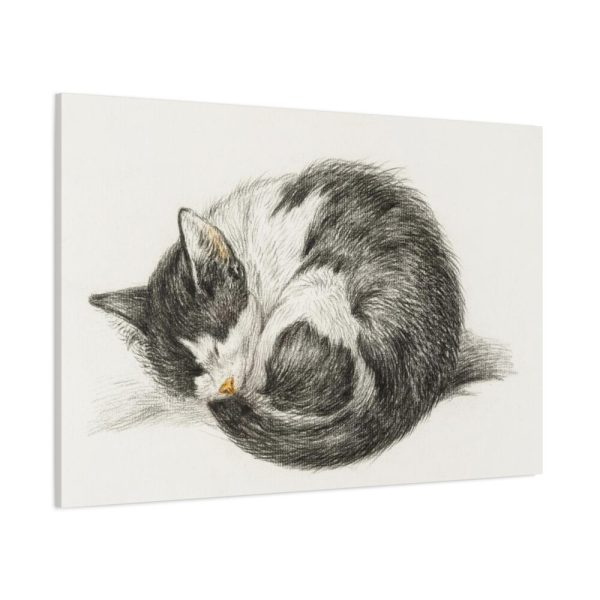 91638-520.jpg Rolled up Lying Sleeping Cat by Jean Bernard Standard Canvas