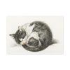 91638-521.jpg Rolled up Lying Sleeping Cat by Jean Bernard Standard Canvas