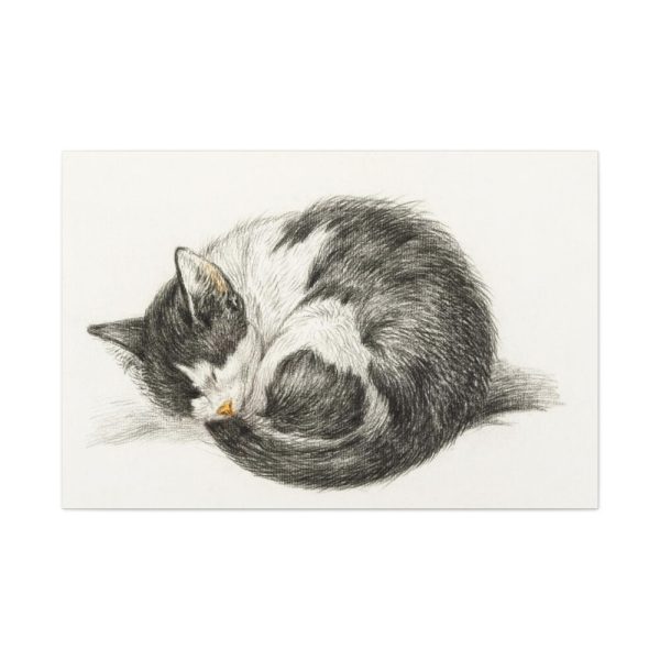 91638-521.jpg Rolled up Lying Sleeping Cat by Jean Bernard Standard Canvas