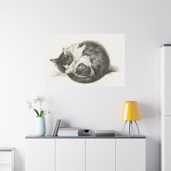 91638-522.jpg Rolled up Lying Sleeping Cat by Jean Bernard Standard Canvas