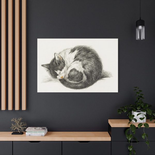 91638-523.jpg Rolled up Lying Sleeping Cat by Jean Bernard Standard Canvas