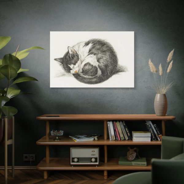 91638-524.jpg Rolled up Lying Sleeping Cat by Jean Bernard Standard Canvas