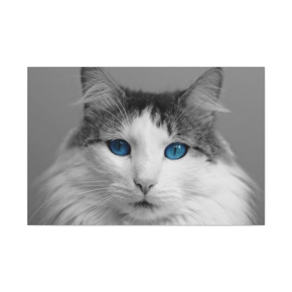 91638-526.jpg Cute Maine Coon Cat Standard Canvas