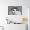 91638-527.jpg Cute Maine Coon Cat Standard Canvas