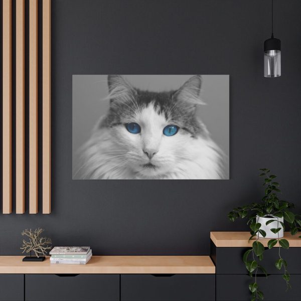 91638-528.jpg Cute Maine Coon Cat Standard Canvas