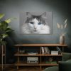 91638-529.jpg Cute Maine Coon Cat Standard Canvas
