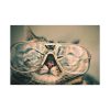 91638-531.jpg Cat Wearing Eyeglasses Standard Canvas