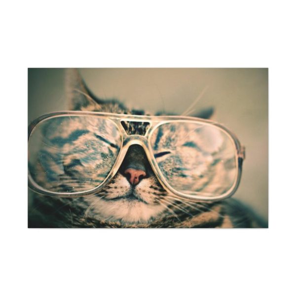 91638-531.jpg Cat Wearing Eyeglasses Standard Canvas