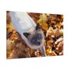91638-545.jpg Autumn Cat Standard Canvas