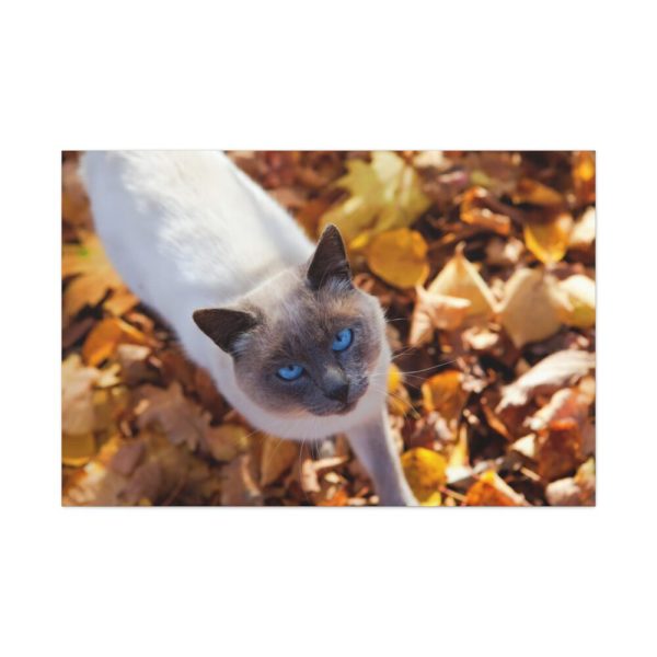91638-546.jpg Autumn Cat Standard Canvas