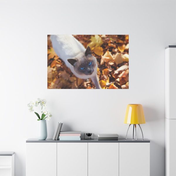 91638-547.jpg Autumn Cat Standard Canvas
