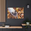 91638-548.jpg Autumn Cat Standard Canvas