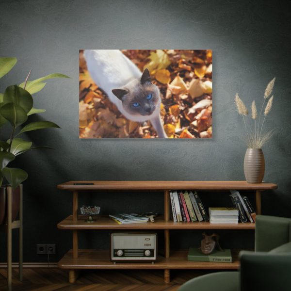 91638-549.jpg Autumn Cat Standard Canvas