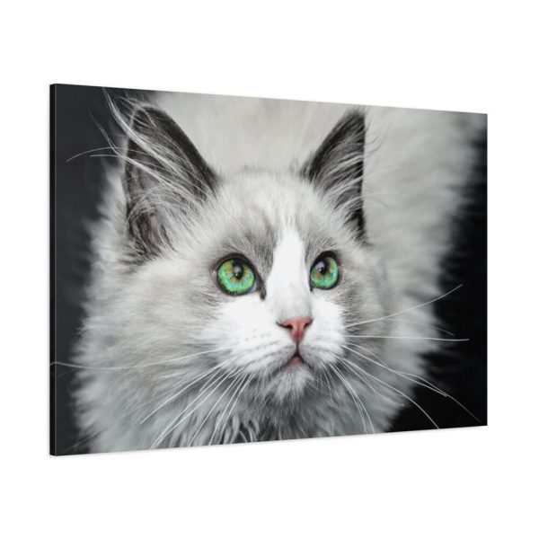 91638-550.jpg Cat with Green Blue Eyes Standard Canvas