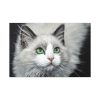 91638-551.jpg Cat with Green Blue Eyes Standard Canvas