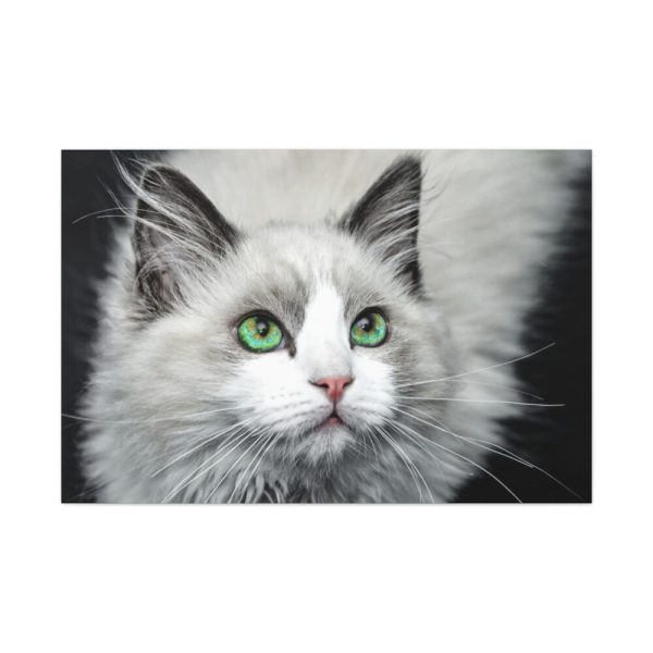 91638-551.jpg Cat with Green Blue Eyes Standard Canvas