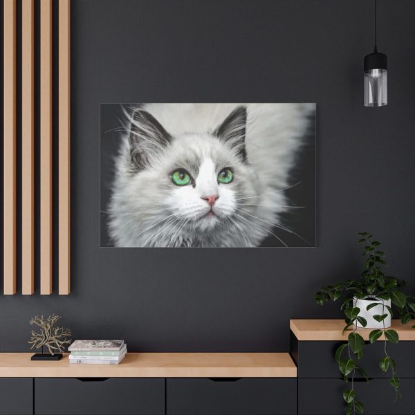 91638-553.jpg Cat with Green Blue Eyes Standard Canvas