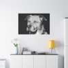91638-562.jpg Dog Boxer Labrador Mixed Standard Canvas
