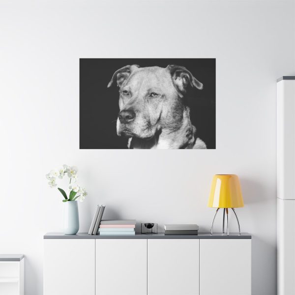 91638-562.jpg Dog Boxer Labrador Mixed Standard Canvas