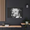 91638-563.jpg Dog Boxer Labrador Mixed Standard Canvas