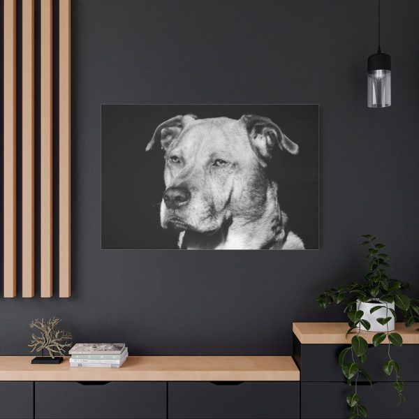 91638-563.jpg Dog Boxer Labrador Mixed Standard Canvas