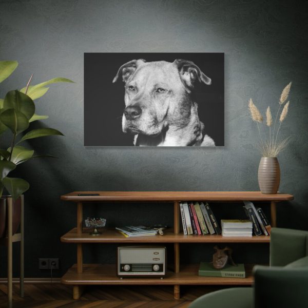 91638-564.jpg Dog Boxer Labrador Mixed Standard Canvas