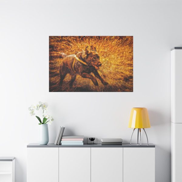91638-567.jpg Black Labrador Runing in Field Standard Canvas
