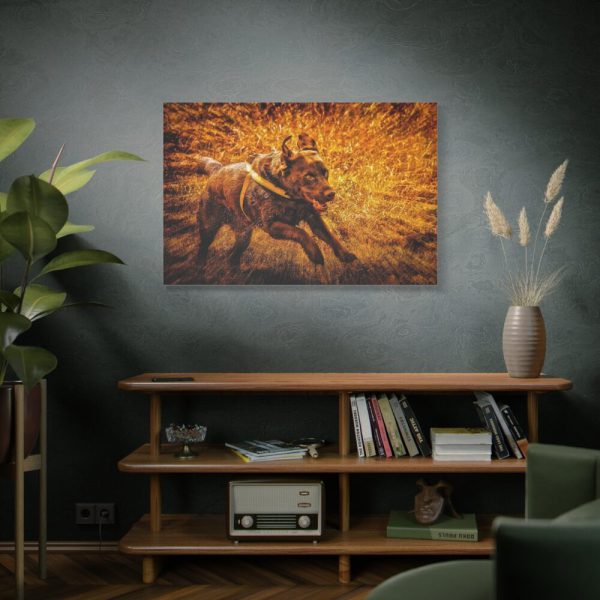 91638-569.jpg Black Labrador Runing in Field Standard Canvas