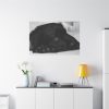91638-572.jpg Sleepy Black Labrador Standard Canvas