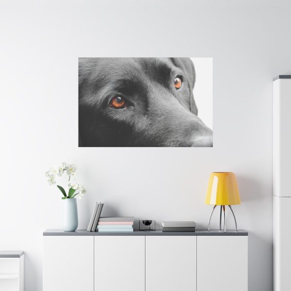91638-577.jpg Beautiful Labradors Eyes Standard Canvas