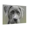 91638-580.jpg Grey Labrador with Blue Eyes Standard Canvas