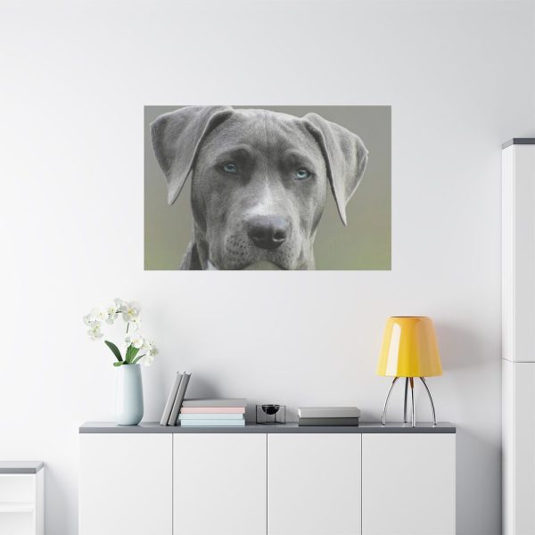 91638-582.jpg Grey Labrador with Blue Eyes Standard Canvas
