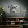 91638-584.jpg Grey Labrador with Blue Eyes Standard Canvas