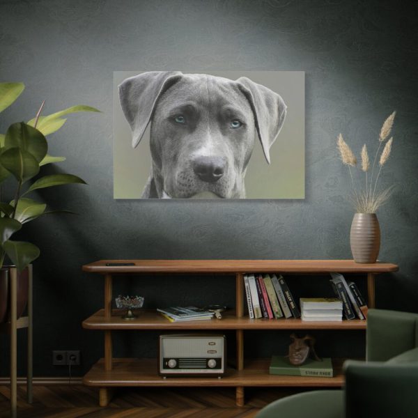 91638-584.jpg Grey Labrador with Blue Eyes Standard Canvas