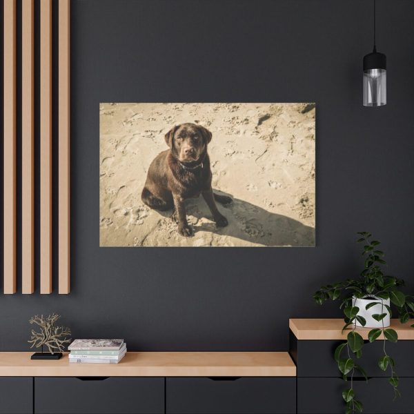 91638-588.jpg Labrador On the Sand Standard Canvas
