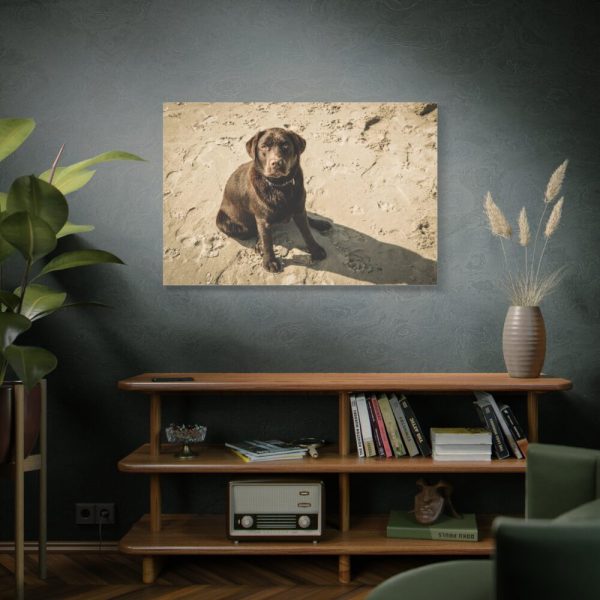 91638-589.jpg Labrador On the Sand Standard Canvas