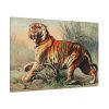 91638-590.jpg Royal Bengal Tiger by John Karst Standard Canvas