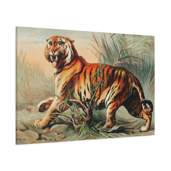 91638-590.jpg Royal Bengal Tiger by John Karst Standard Canvas