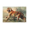 91638-591.jpg Royal Bengal Tiger by John Karst Standard Canvas