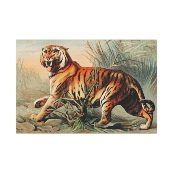 91638-591.jpg Royal Bengal Tiger by John Karst Standard Canvas